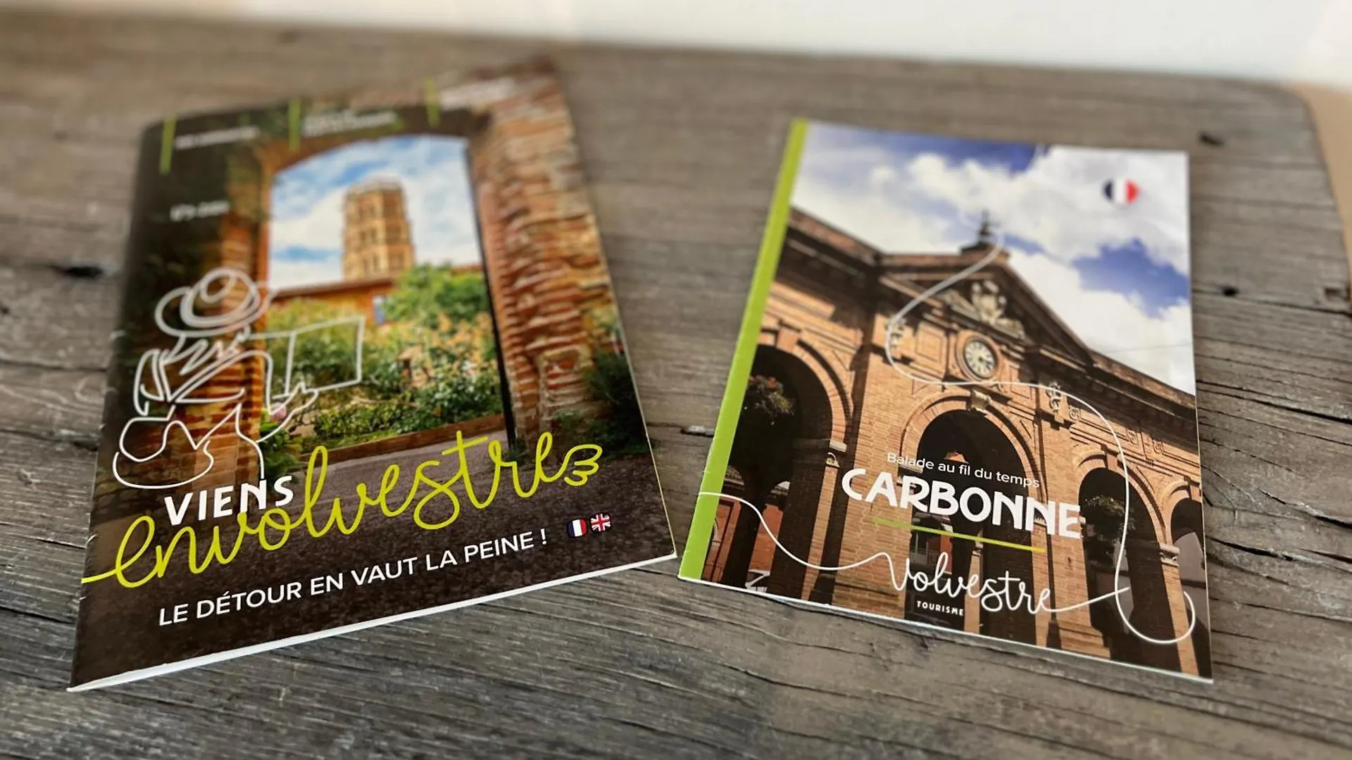 Domaine De La Terrasse Apartment Carbonne